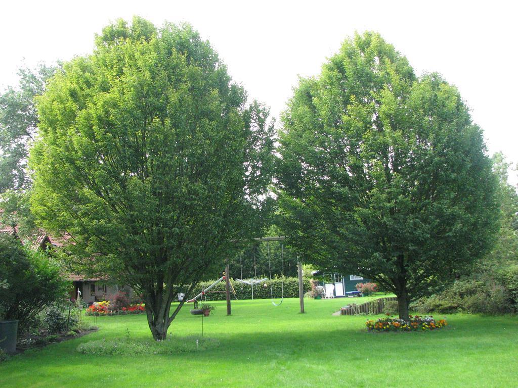 Urlaubsdomizil Im Gruenen Apartman Westerstede Kültér fotó